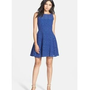 B.B. Dakota fit and flare navy dress NWT